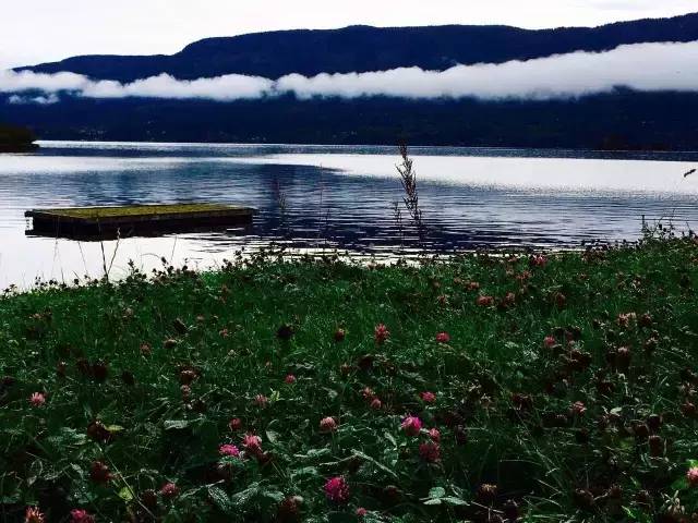 33.webp.jpg 51影院