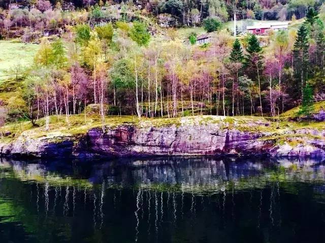 34.webp.jpg 51影院