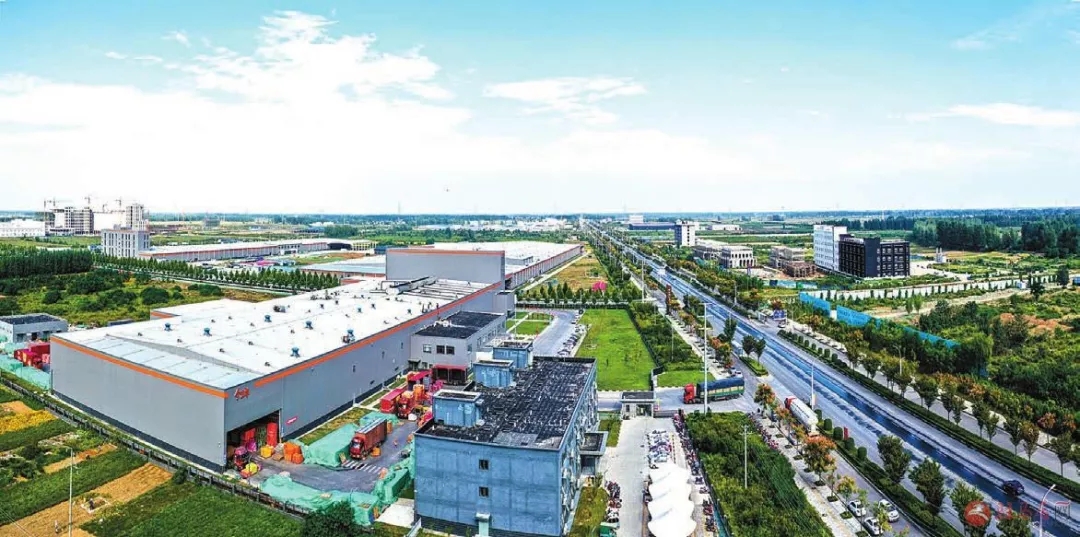 5.webp (1).jpg 51影院